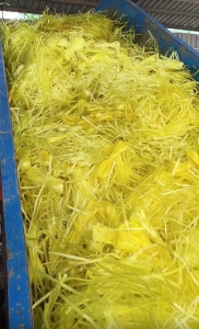 长期出售PP打包带毛料