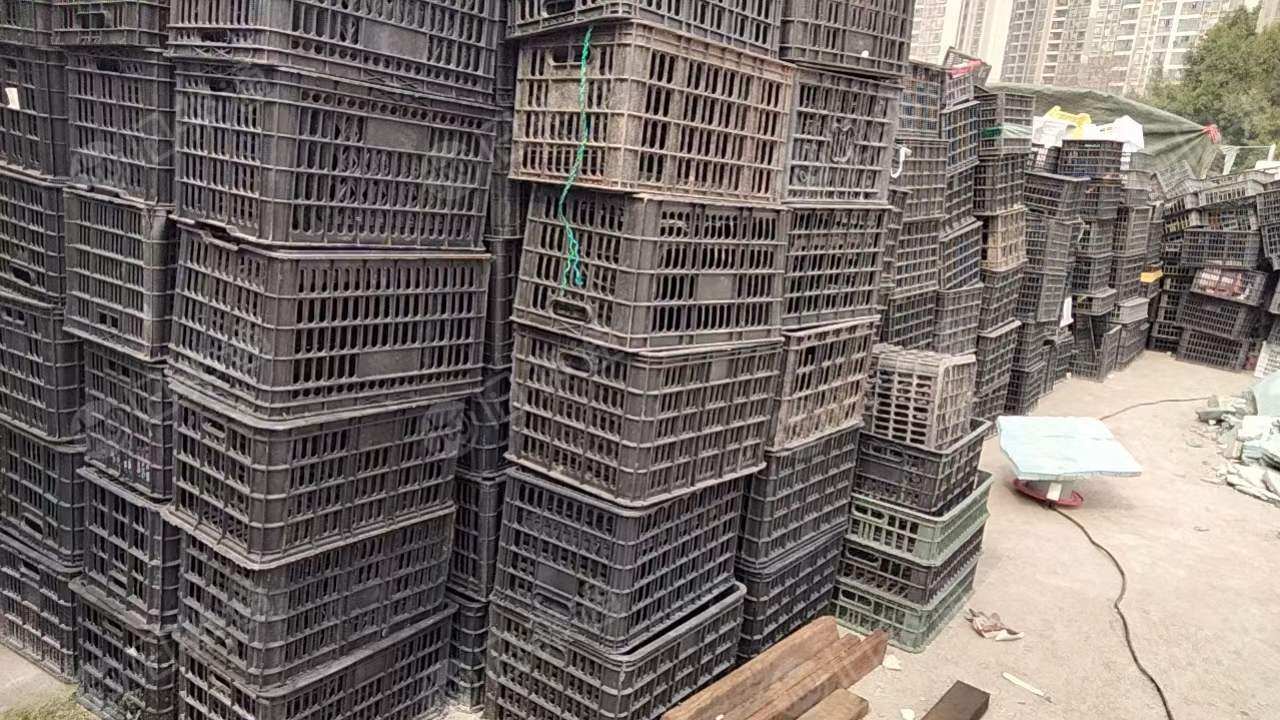 大量回收黑筐。量大从优