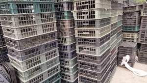 大量回收黑筐。量大从优