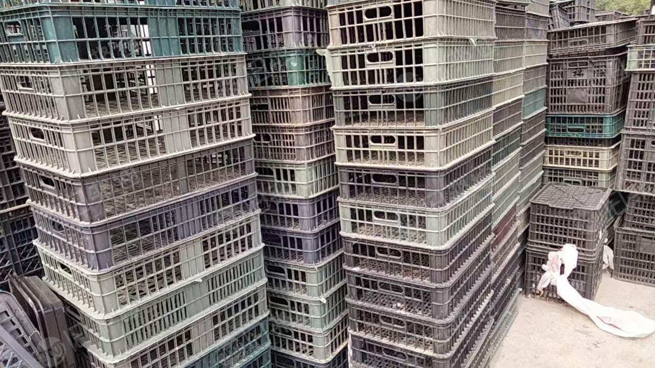 大量回收黑筐。量大从优