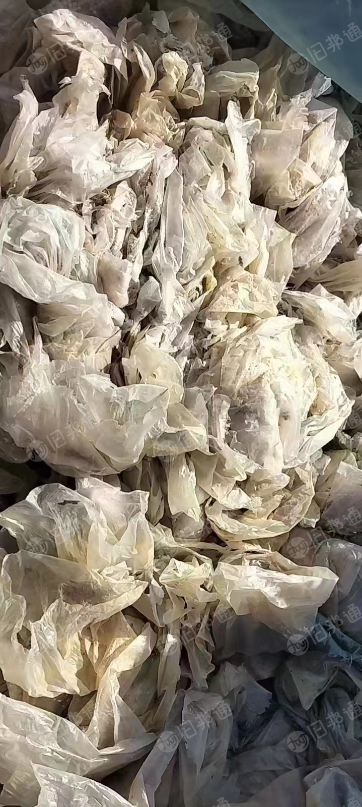 出售蘑菇袋毛料，现货一百多吨