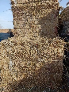 回收黄金绳，废绳