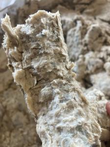 长期出售医保浆，26干，7灰分