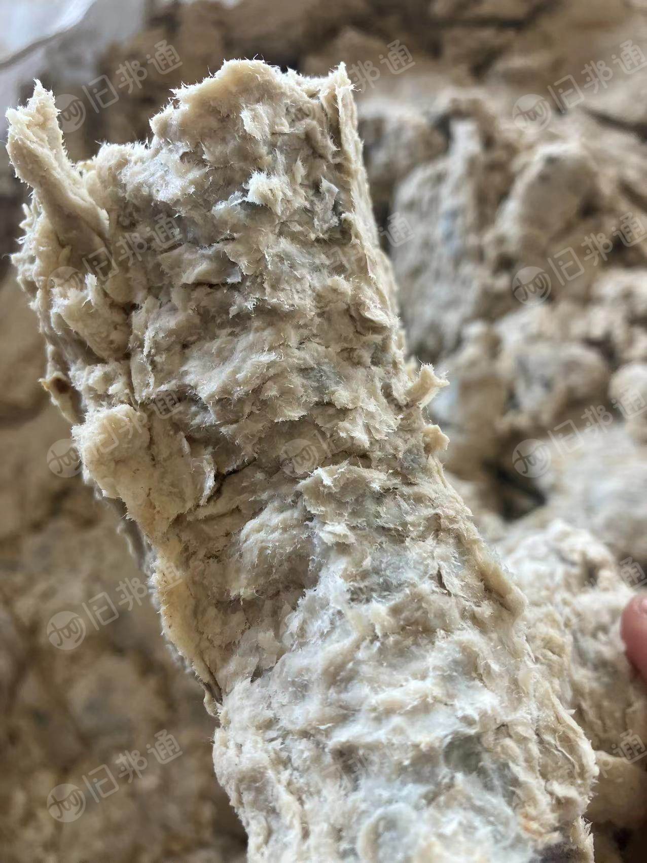 长期出售医保浆,26干,7灰分