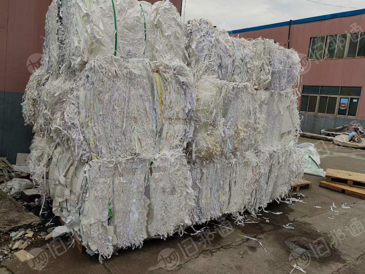 长期出售废不干胶纸边条