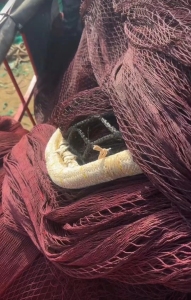 涤纶废旧渔网，现货几百吨，现货出售