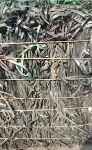 长期出售PET打包带毛料