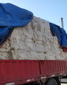 长期供应纯棉氨纶长绒风箱花，提精棉！