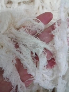 出售精梳棉布边和弹力边纱几吨