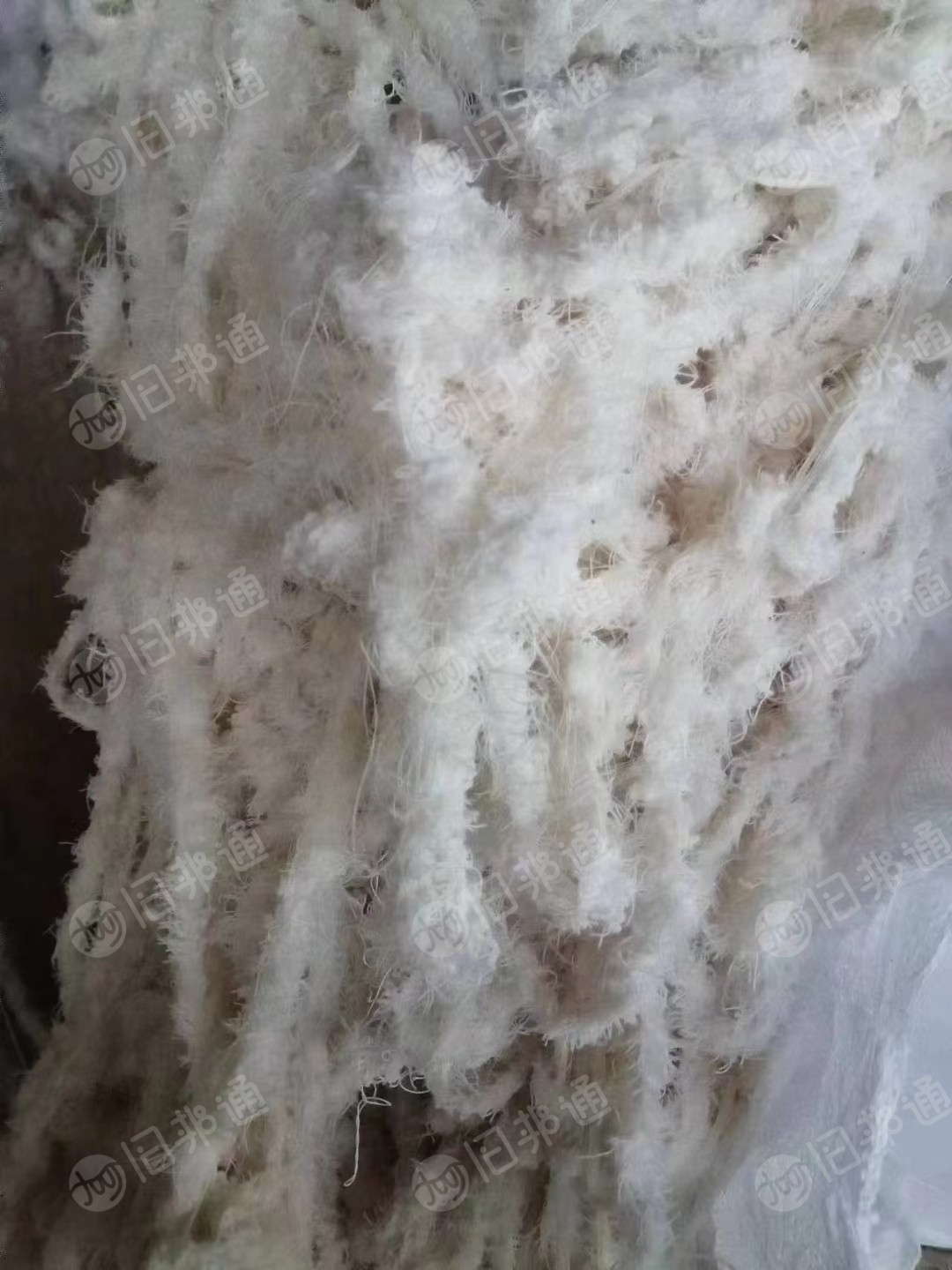 出售精梳棉布边和弹力边纱几吨