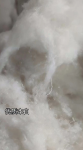 长期供应被罩用棉，优质黄棉再生棉