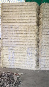 长期出售纯双胶纸压块