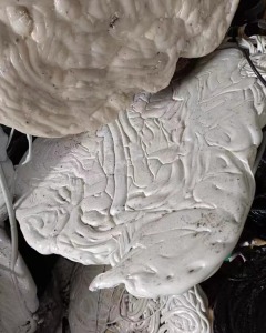 出售机头料水口料，内含abs，pe材质，现货20吨