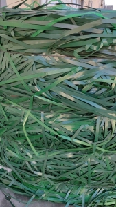 常年出售PET打包带，月供80吨 