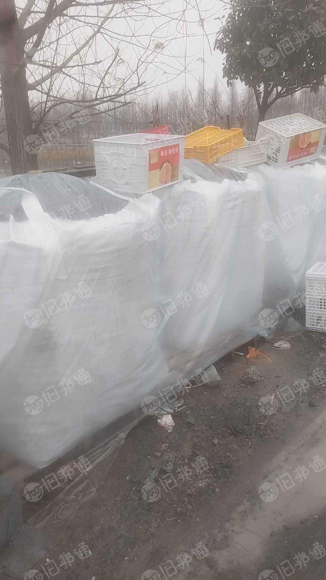常年出售PP水果筐破碎料,月供20吨左右 ,价格便宜