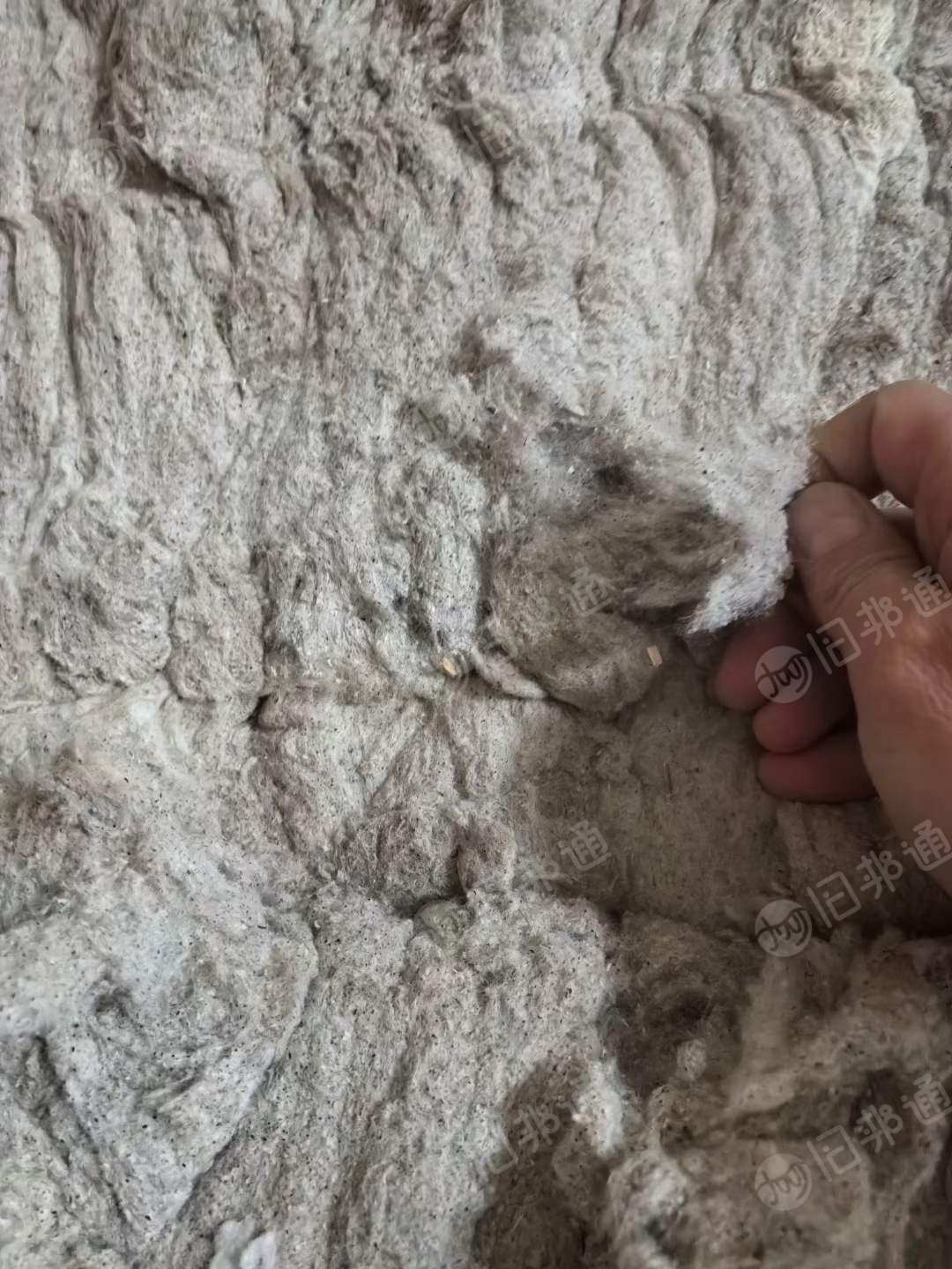纯棉风箱棉,出售