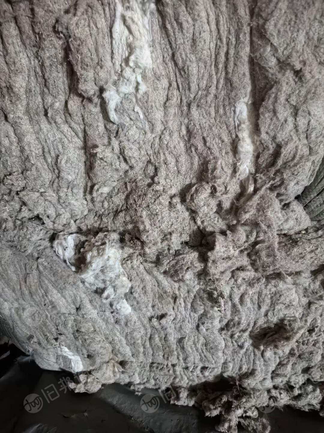 纯棉风箱棉,出售