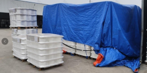 库存涤纶丝，降等品，涤纶工业长丝，出售