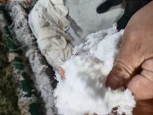 化纤磨毛头，涤纶毛毛料，每天都有，出售