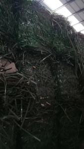 聚酯打包带毛料常年大量出售，现货400吨 