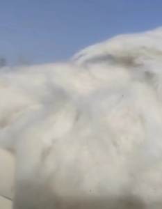 新疆回收棉，长度25左右，现货上百吨，出售