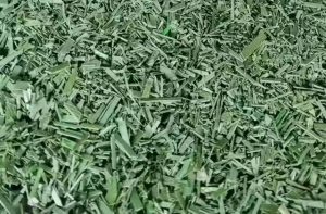 长期出售PET打包带破碎料，聚酯打包带破碎料