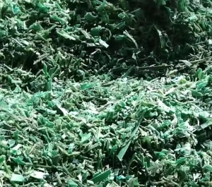 长期出售PET打包带破碎料