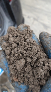 出售镍铁粉末，出水率4.5