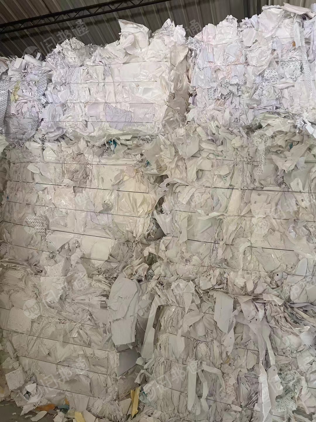 出售白色淋膜纸废料,大量现货