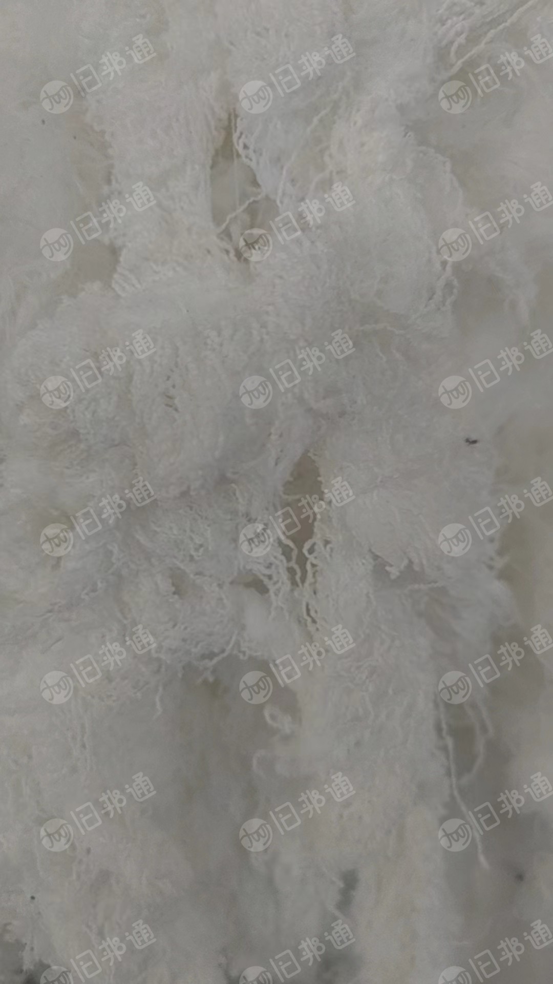 长期回收织布厂下来的氨纶布边氨纶废丝