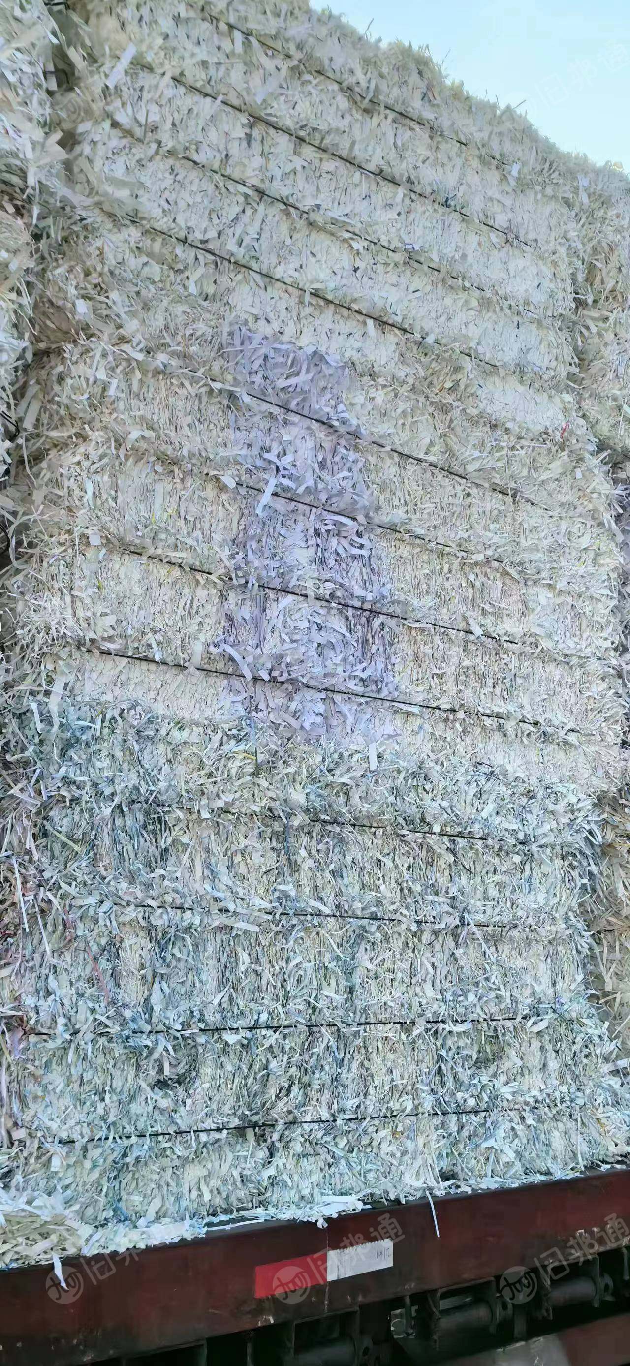 出售装订纸风吹边料,大量现货