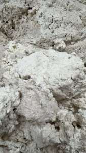 出售白色纯纸浆，现货20吨