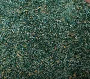 pet混pp料，清水好洗，现货十来吨，长期出售