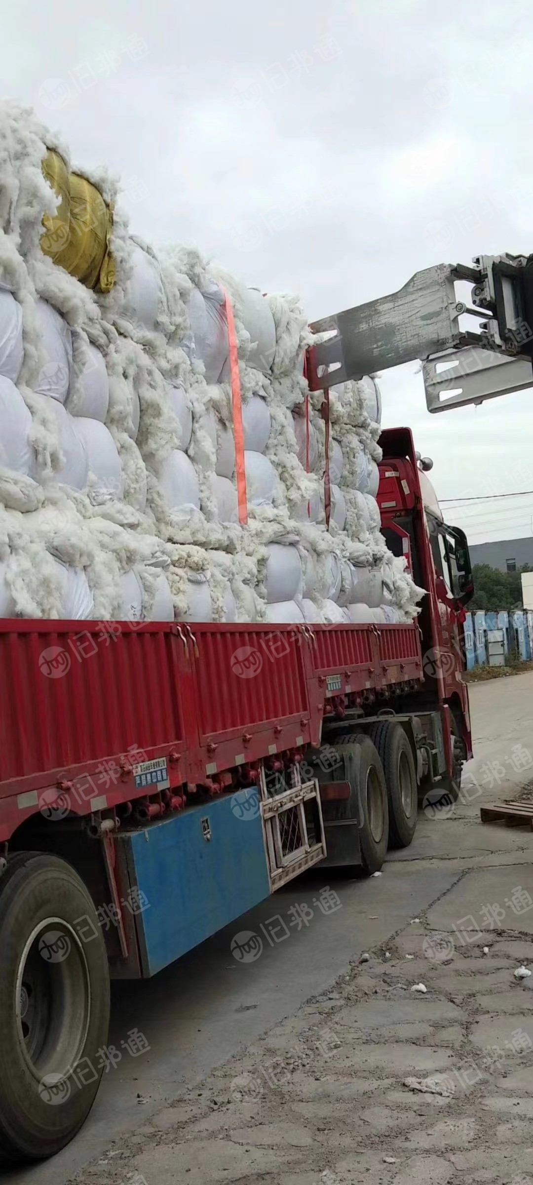 长期出售仿大化车肚棉，月供30-50吨