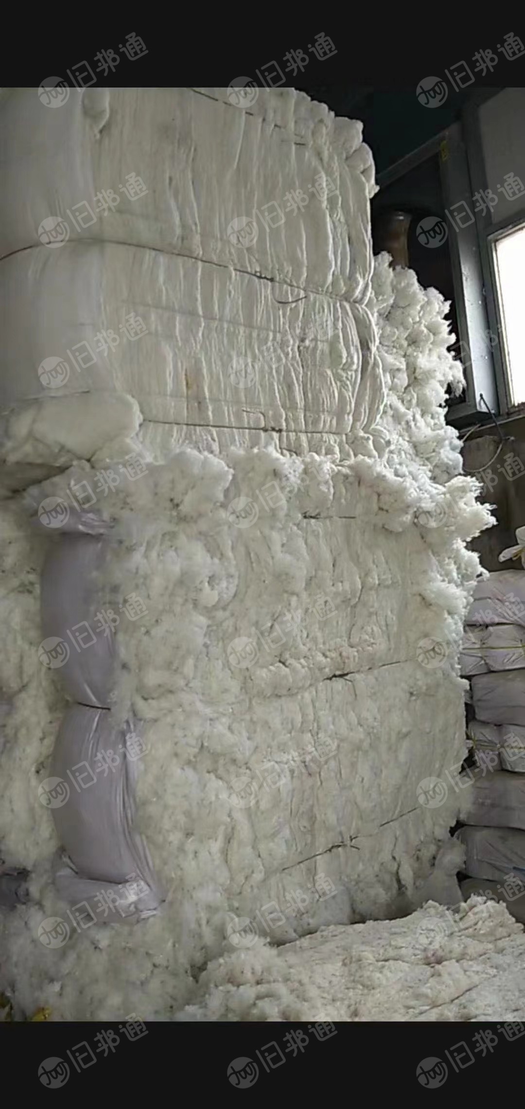 长期出售仿大化车肚棉，月供30-50吨