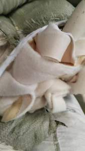 大量回收白色无胶开花原料，用需100吨左右