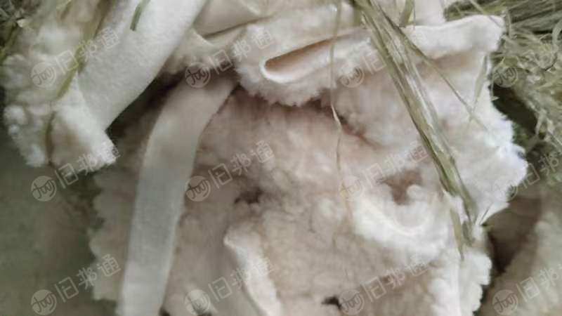 大量回收白色无胶开花原料,用需100吨左右