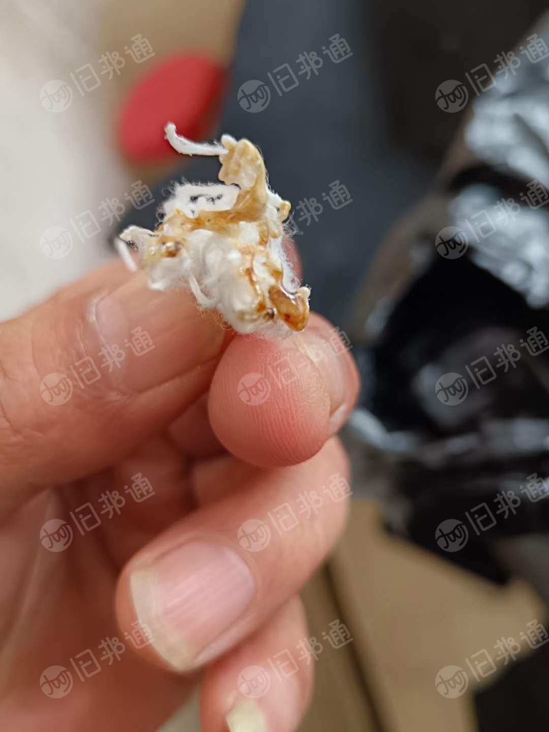 纯涤纶的跟pp的在一起,线是纯涤纶,乳白色的是pp长期有货出售