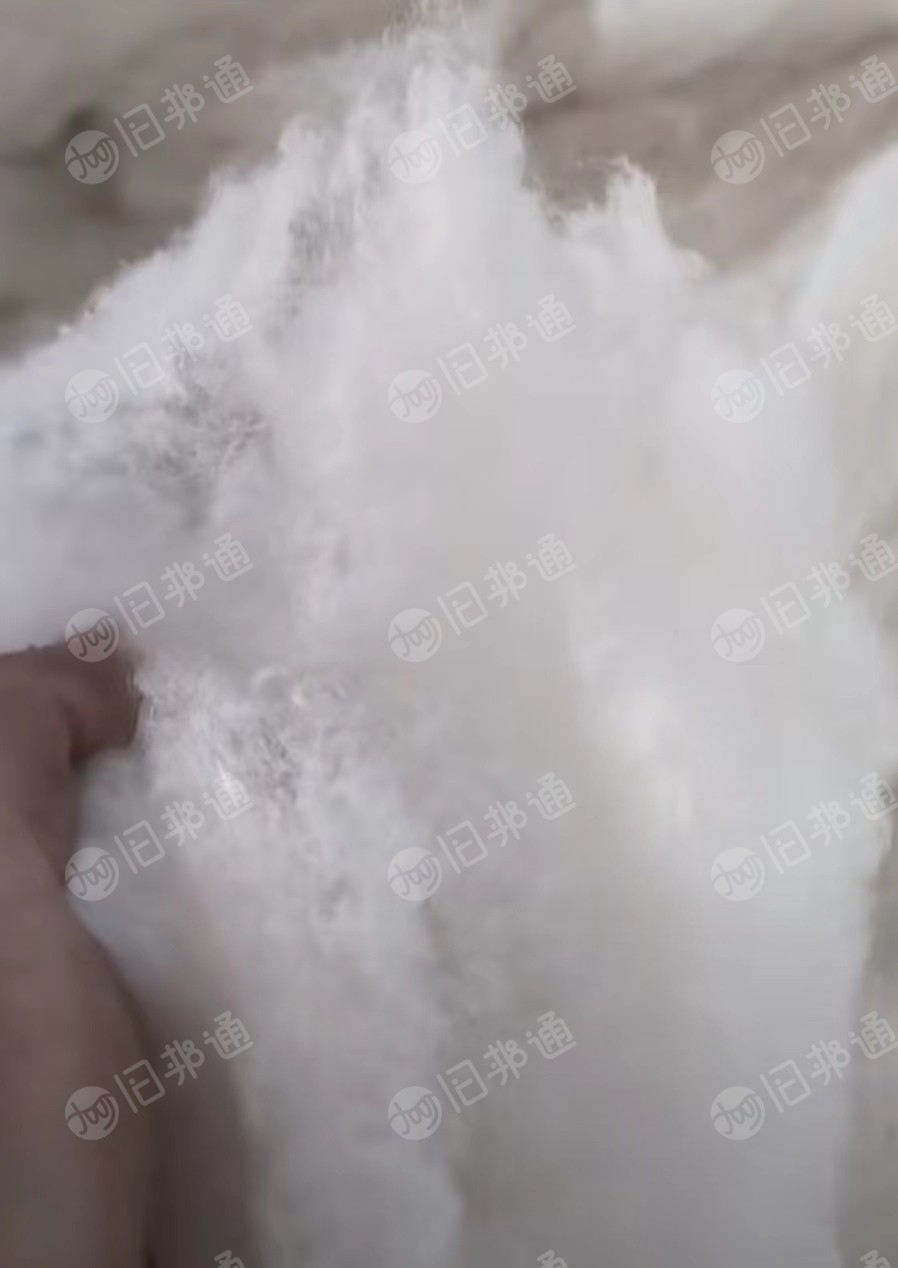 长期大量出售精品化纤棉,大白棉,次白棉,二白棉,红棉,驼色棉