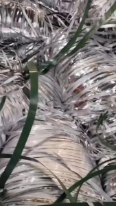 收购电子袋，铝塑袋，食品袋，面膜袋，槟榔袋等炼油料