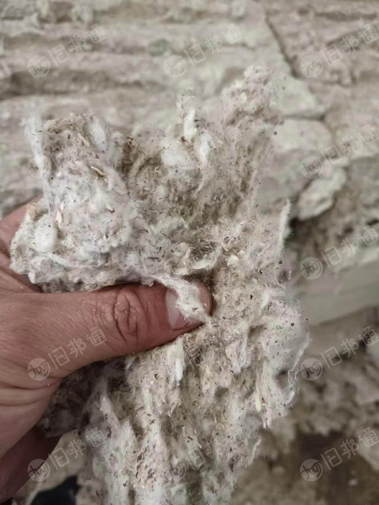 气流纺纯棉车肚,涤棉车肚,出售