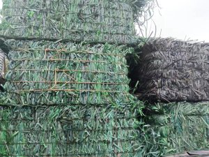 出售绿带，黑带，货量看价格，价格合适可以月提供200吨