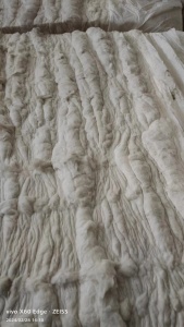 长期大量出售气流纺涤棉车肚80棉