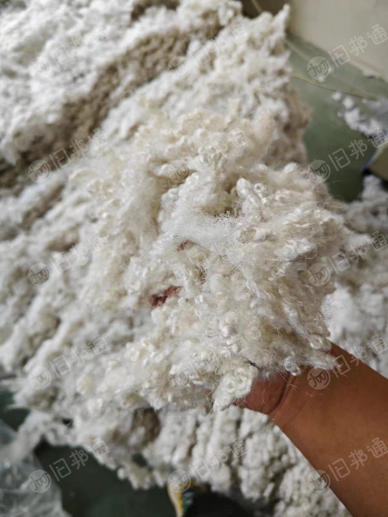 长期收购三维枕芯料,规格15d含硅无荧光,长度64