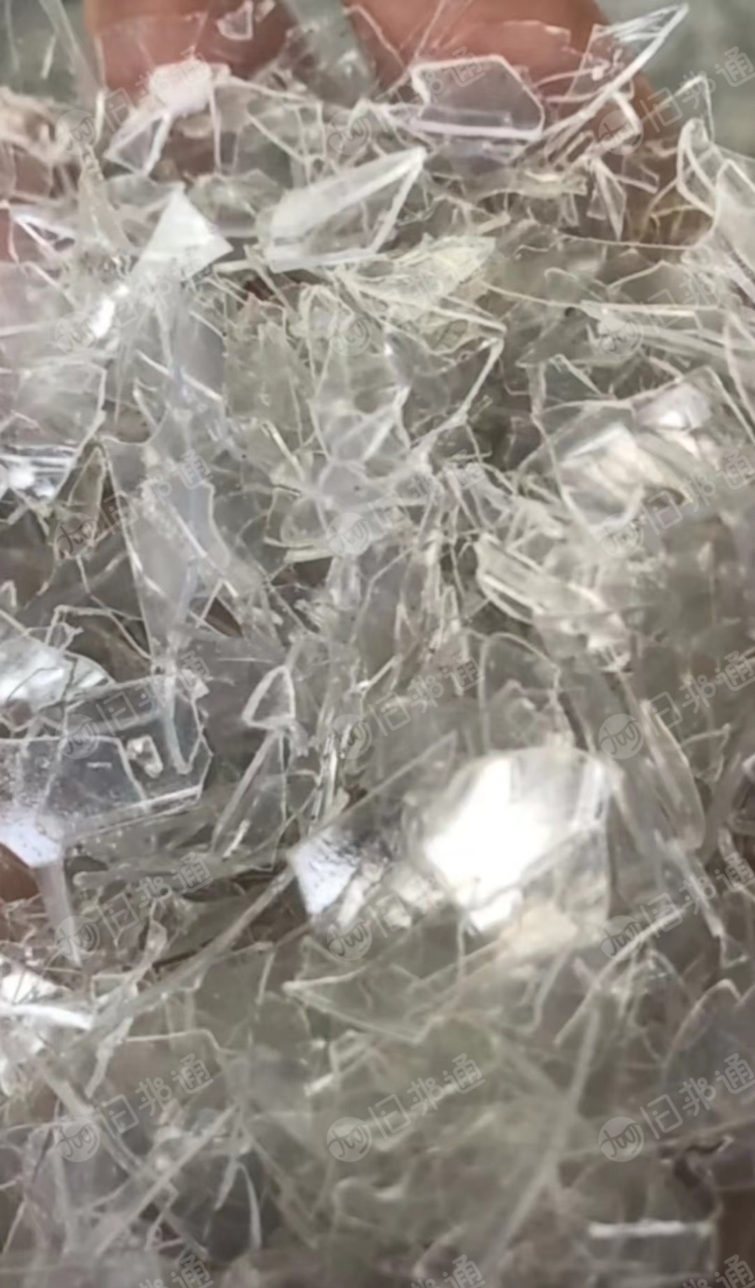 求购各类PET吸塑盒废料,破碎料,颜色不限
