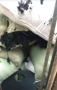 求购涤纶废丝，黑丝，不限量