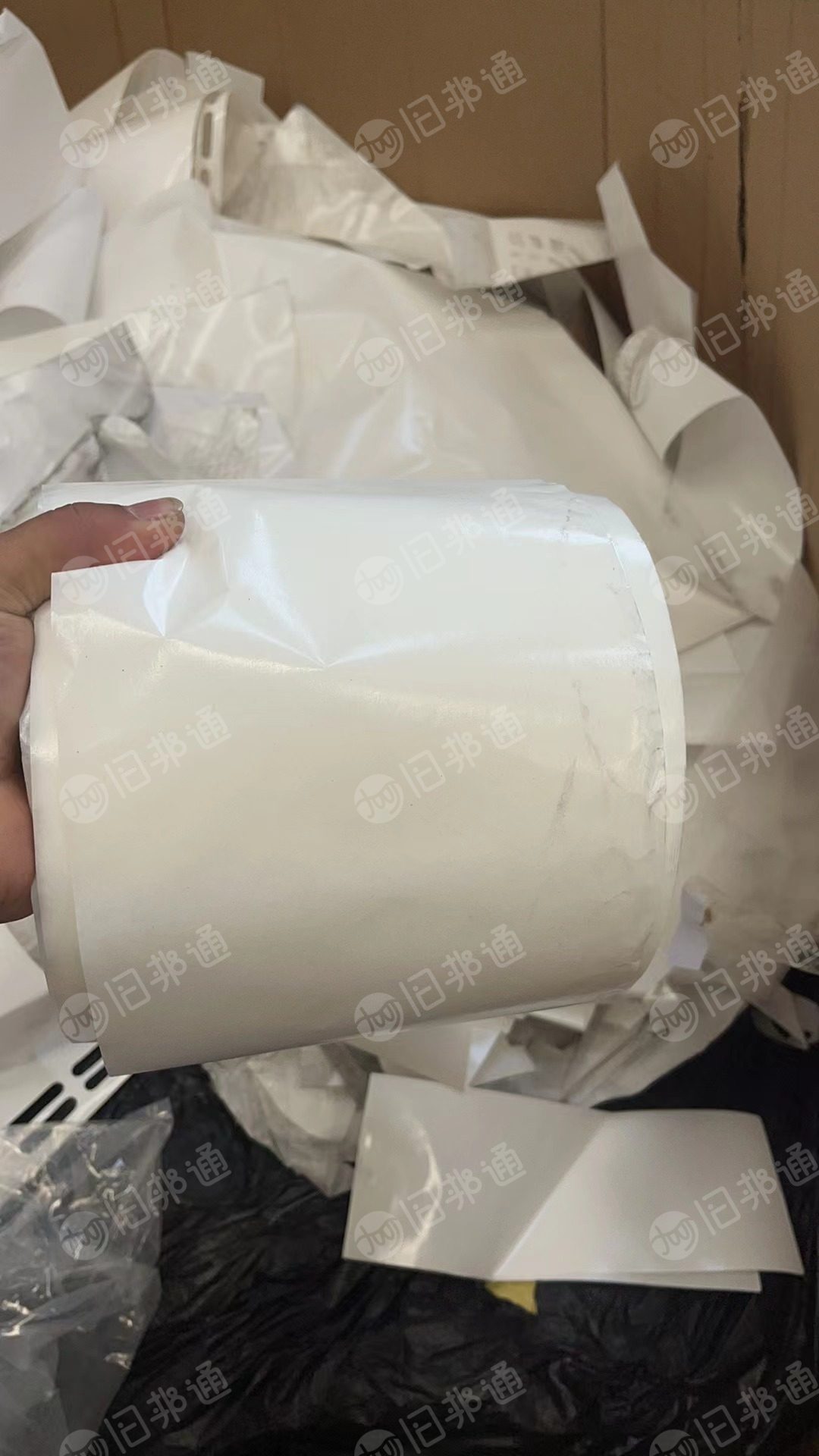 出售白色淋膜纸,有卷筒和散料