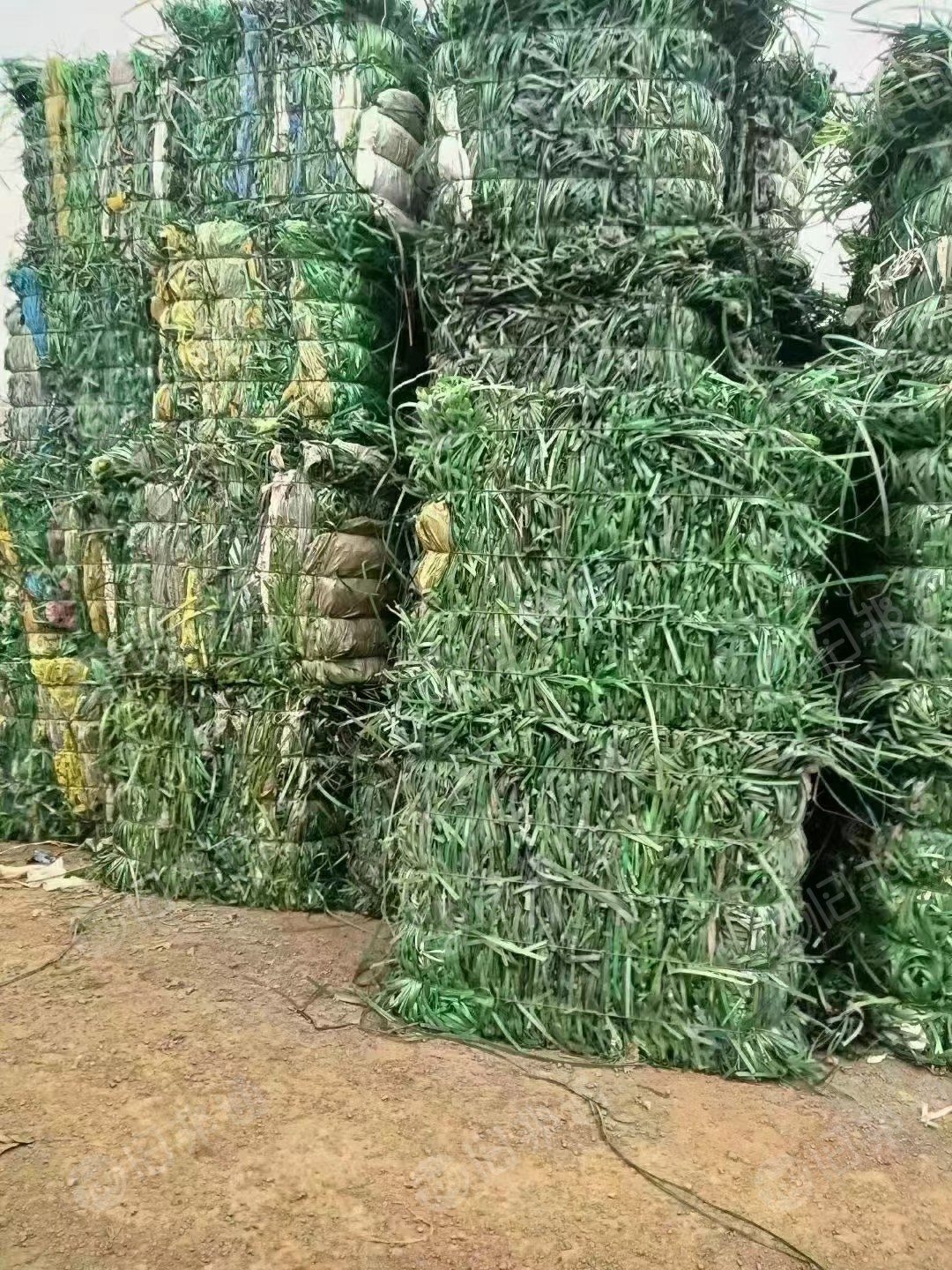 常年出售PET打包带,现货20吨,月供200吨