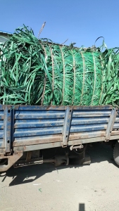 长期出售绿带打包带，月供十几吨