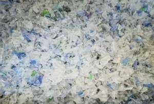 常年大量收购PET热洗蓝白瓶片 ，月需几百吨